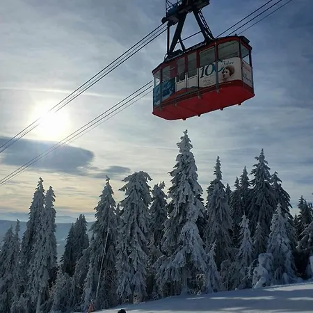 Direkt Am Und Rodelhang Appartement Oberwiesenthal