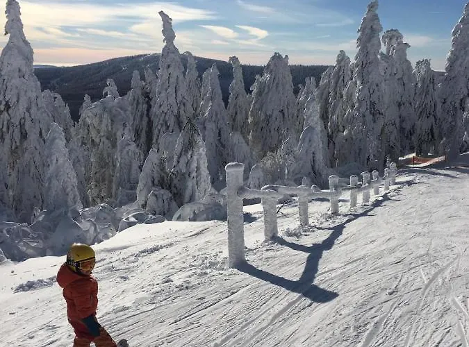 Direkt Am Und Rodelhang Apartment