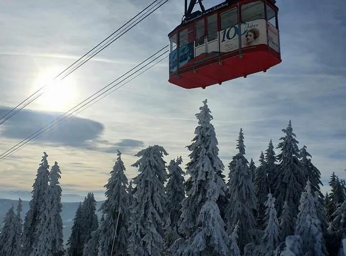 Direkt Am Und Rodelhang Apartment Oberwiesenthal